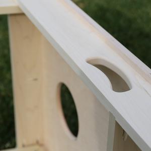 Corporate Cornhole Boards